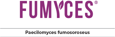 FUMYCES