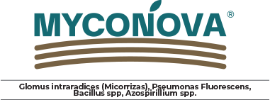 MYCONOVA