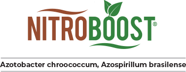 NITROBOOST